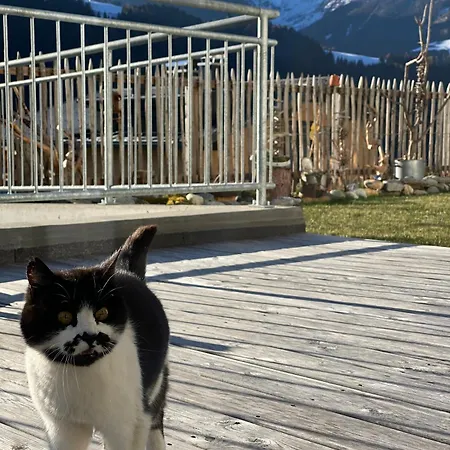 Lurger * סטראסן