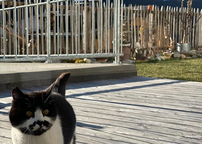 Lurger * 스트라센